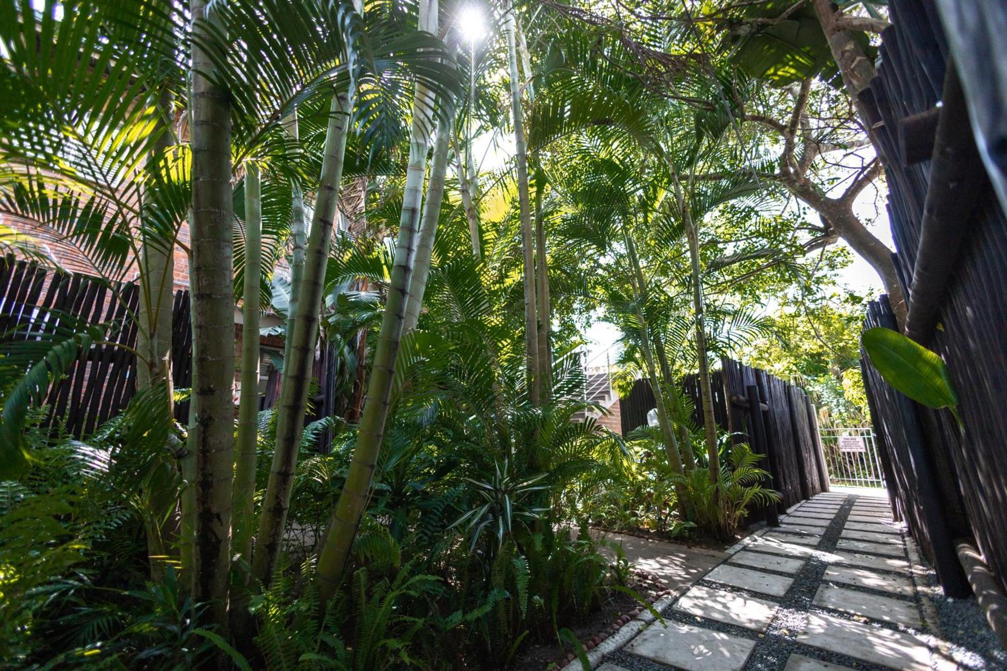Little Eden St Lucia Apartment Exterior foto