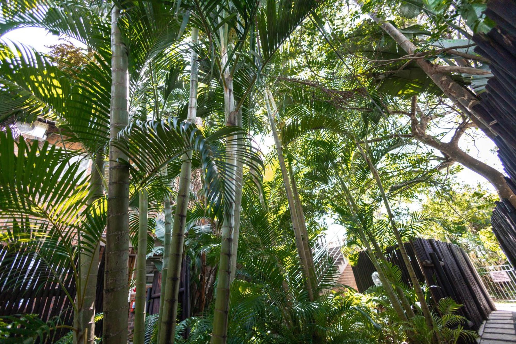 Little Eden St Lucia Apartment Exterior foto